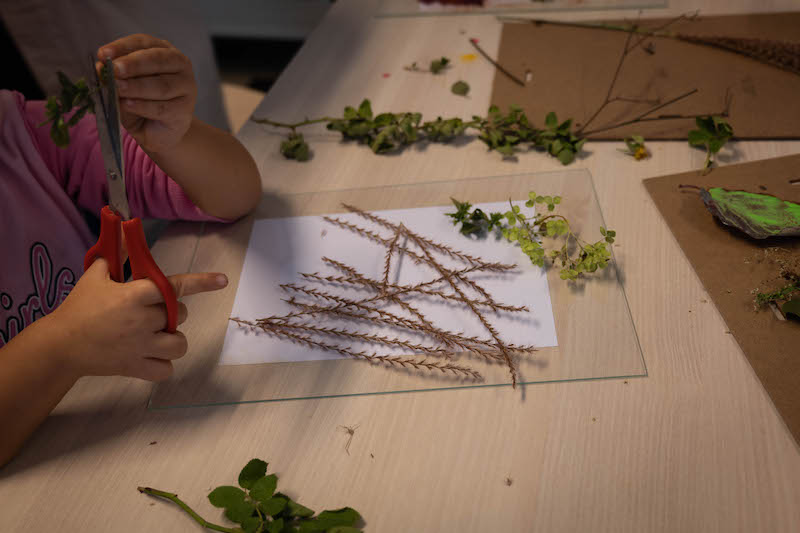 Travail de préparation et de précision avec les végétaux